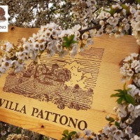 Villa Pattono Relais & SPA
